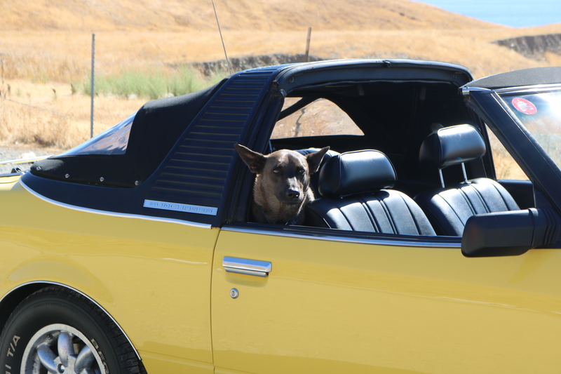 Illustration for article titled Road trip is over